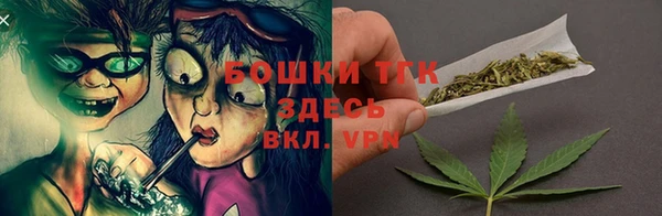 крисы Белокуриха