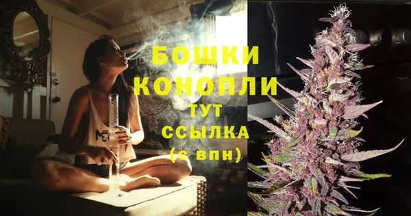 спайс Нягань