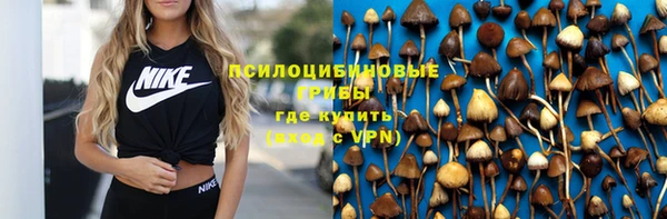 крисы Белокуриха